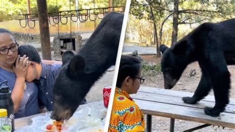 xnxx brazzers mom son|Video: Mom shields son from black bear as it eats meal in Mexico.